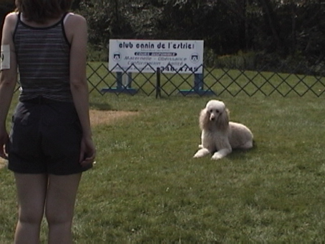 dsc00781.jpg