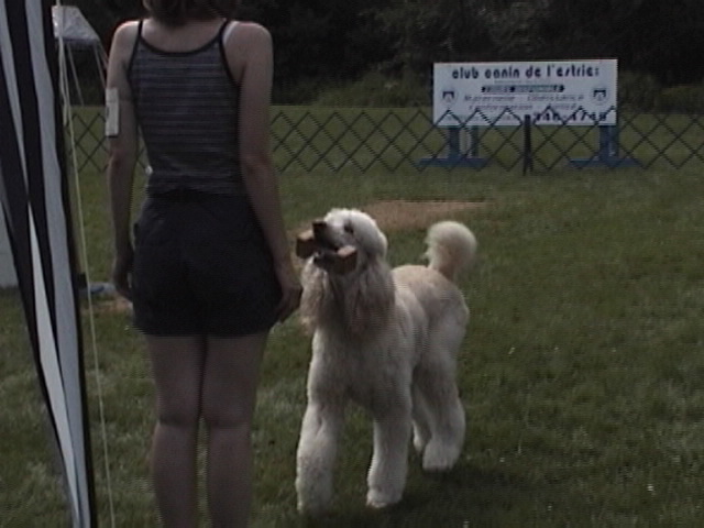 dsc00782.jpg