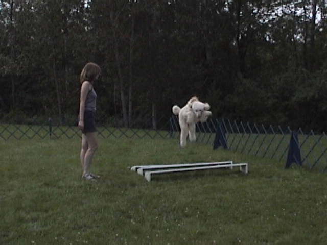 dsc00784.jpg