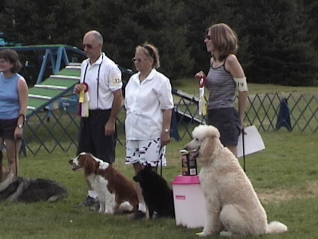 dsc00799.jpg