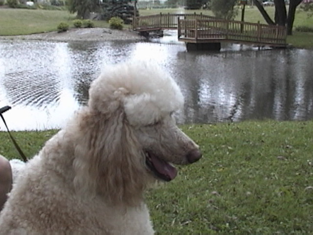 dsc00809.jpg