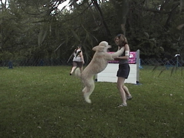dsc00833.jpg