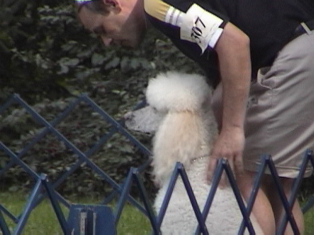 dsc00846.jpg