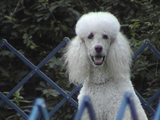dsc00849.jpg
